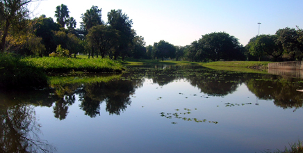 parque2.jpg