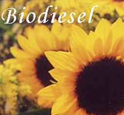 biodiesel-copia.jpg