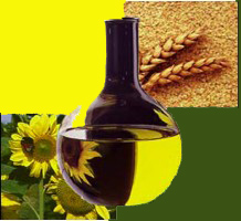 biodiesel-certo.jpg