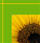 biodiesel-copia.jpg