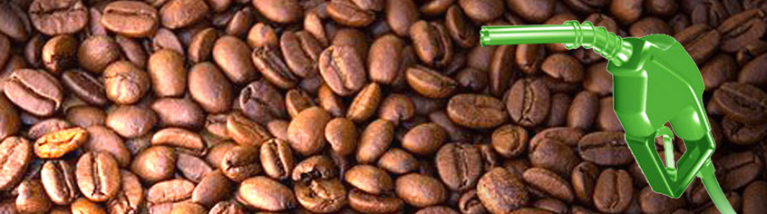 biodiesel-de-borra-de-cafe-copia3